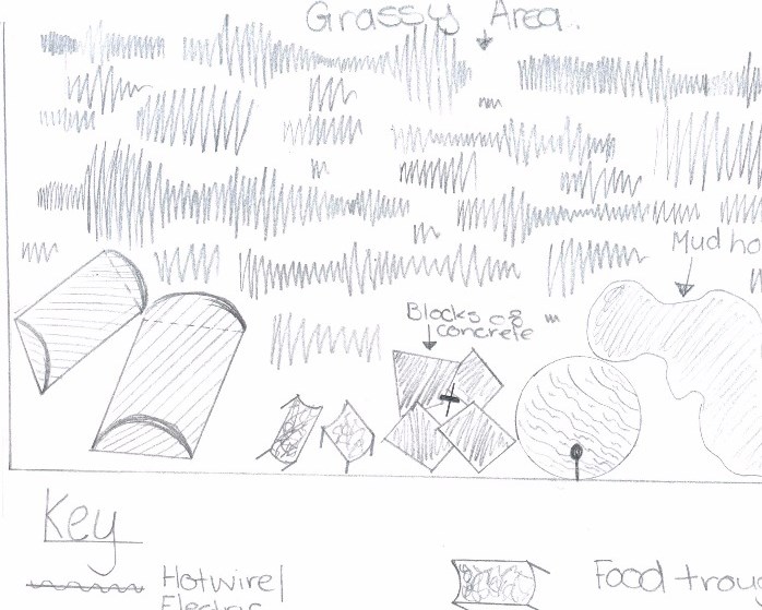 <p>Design project: Pig enclosure</p>