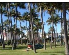 <p>Observation: What are the features of the local park?</p>